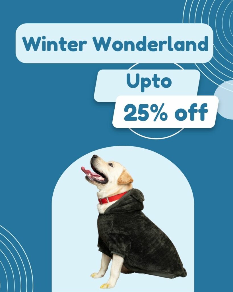 winter woderland - upto 25% off