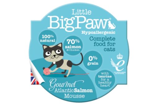 Little BigPaw Hypoallergenic Gourmet Atlantic Salmon Mousse Wet Cat Food (Pack of 12)