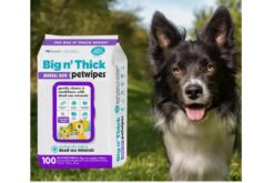 Petkin Big N' Thick Mineral Bath Pet Wipes Dog & Cat Wipes, 100 count
