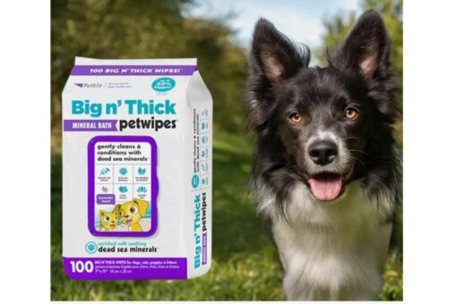 Petkin Big N' Thick Mineral Bath Pet Wipes Dog & Cat Wipes, 100 count