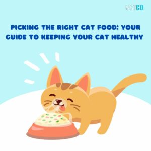Picking The Right Cat Food: Your Guide to Keeping Your Cat Healthy