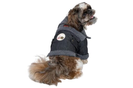 Pawgy Pets Warm Denim Jacket: Grey