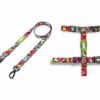 Zoomiez Drip Dog Leash & H-Harness Walking Set