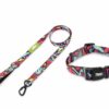 Zoomiez Drip Dog Leash & Collar Walking Set