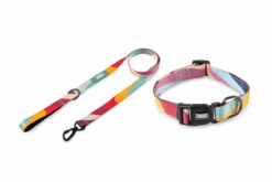 Zoomiez Swirl Dog Leash & Collar Walking Set