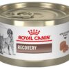 Royal Canin Recovery Wet Dog & Cat Food, 195 gms (Pack of 4)