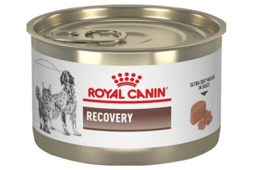 Royal Canin Recovery Wet Dog & Cat Food, 195 gms (Pack of 4)