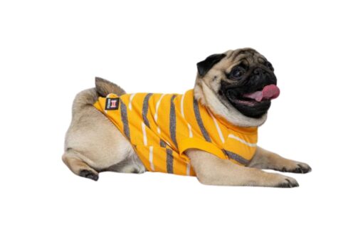 Pawgy Pets Summer T-Shirt: Yellow