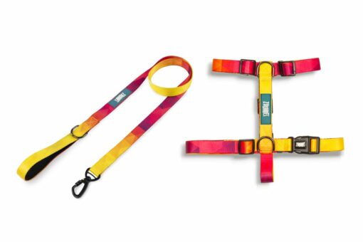 Zoomiez Drip Dog Leash & H-Harness Walking Set