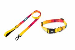Zoomiez Solar Dog Leash & Collar Walking Set