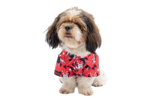 Pawgy Pets Mickey Red Shirt