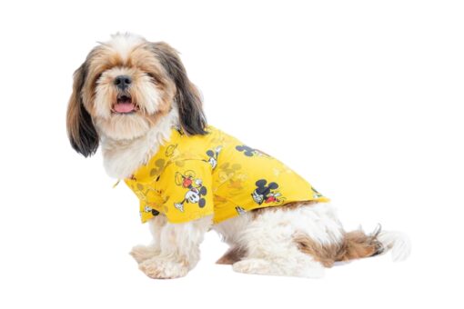 Pawgy Pets Mickey Yellow Shirt