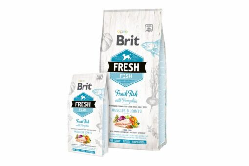 Brit Fresh Fish with Pumpkin Adult Dry Dog Food (Large Breeds)