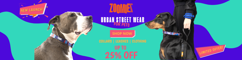 zoomiez web banner new