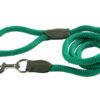 TOPDOG PREMIUM Nylon Rope Leash - Teal Green, Large