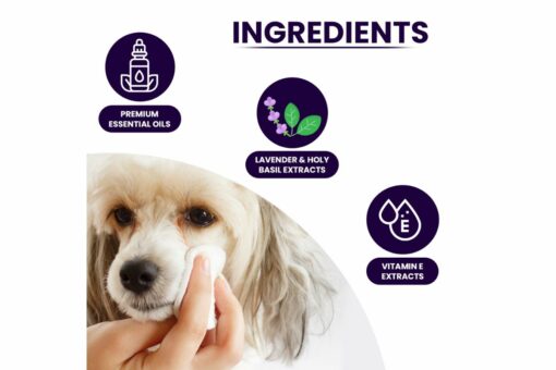 TopDog Premium Pet Sanitizing Wipes - Lavender, 80 Pulls