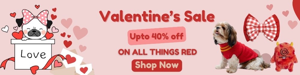 Valentine Sale at Online Pet Shop India - Upto 40% off