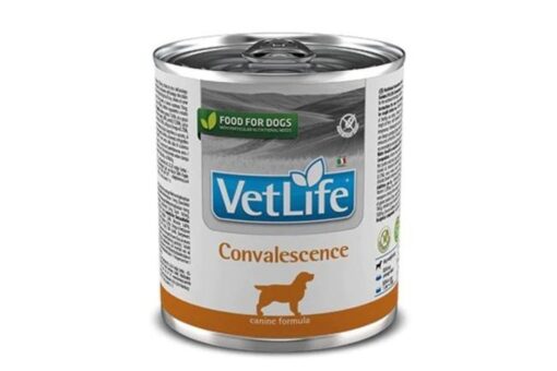 Farmina Vet Life Convalescence Canine Formula Dog Wet Food, 300 gms (Pack of 6)