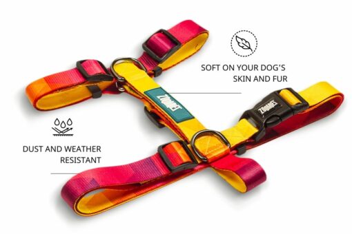 Zoomiez Printed H-Harness For Dogs - Solar