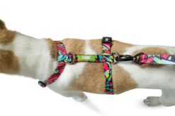 Zoomiez Printed H-Harness For Dogs - Drip