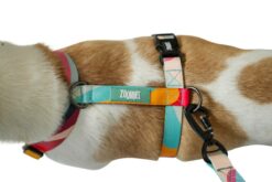 Zoomiez Printed H-Harness For Dogs - Swirl