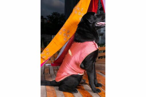 Vastramay Pink Woven Silk Blend Dog Ethnic Jacket