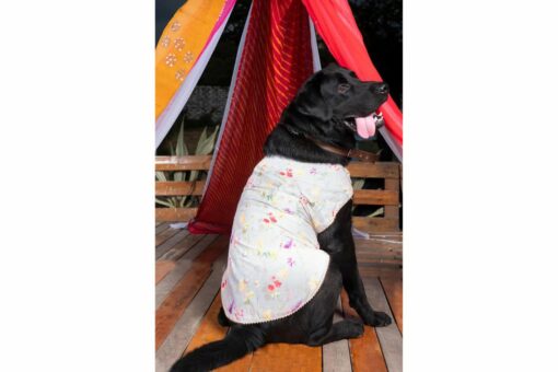 Vastramay Cream-Colored Floral Printed Cotton Blend Ethnic Dog Jacket