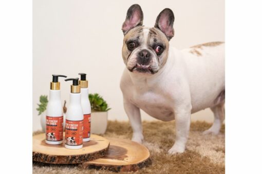 Petsnugs Fur Fresh Tea Tree Shampoo For Dogs & Cats