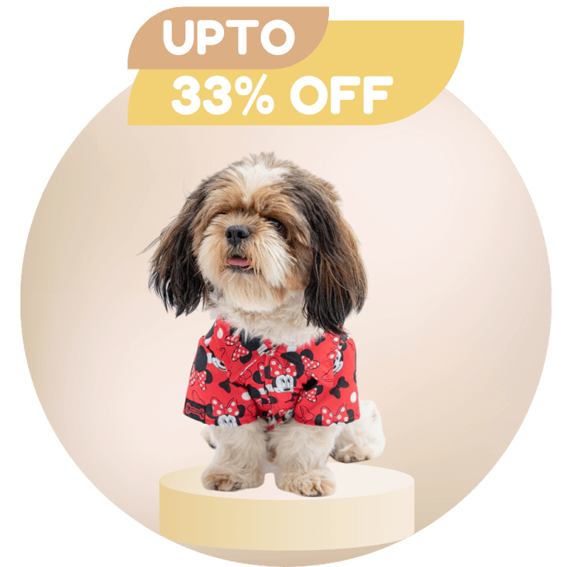Pet Clothing - Upto 33% Off