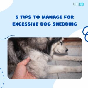 5 Tips to Manage For Excessive Dog Shedding
