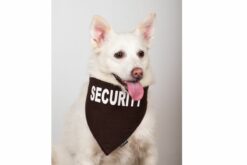 Petsnugs Security Bandana- Brown For Dogs & Cats