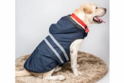Petsnugs Blue Reflective Raincoat For Dogs & Cats