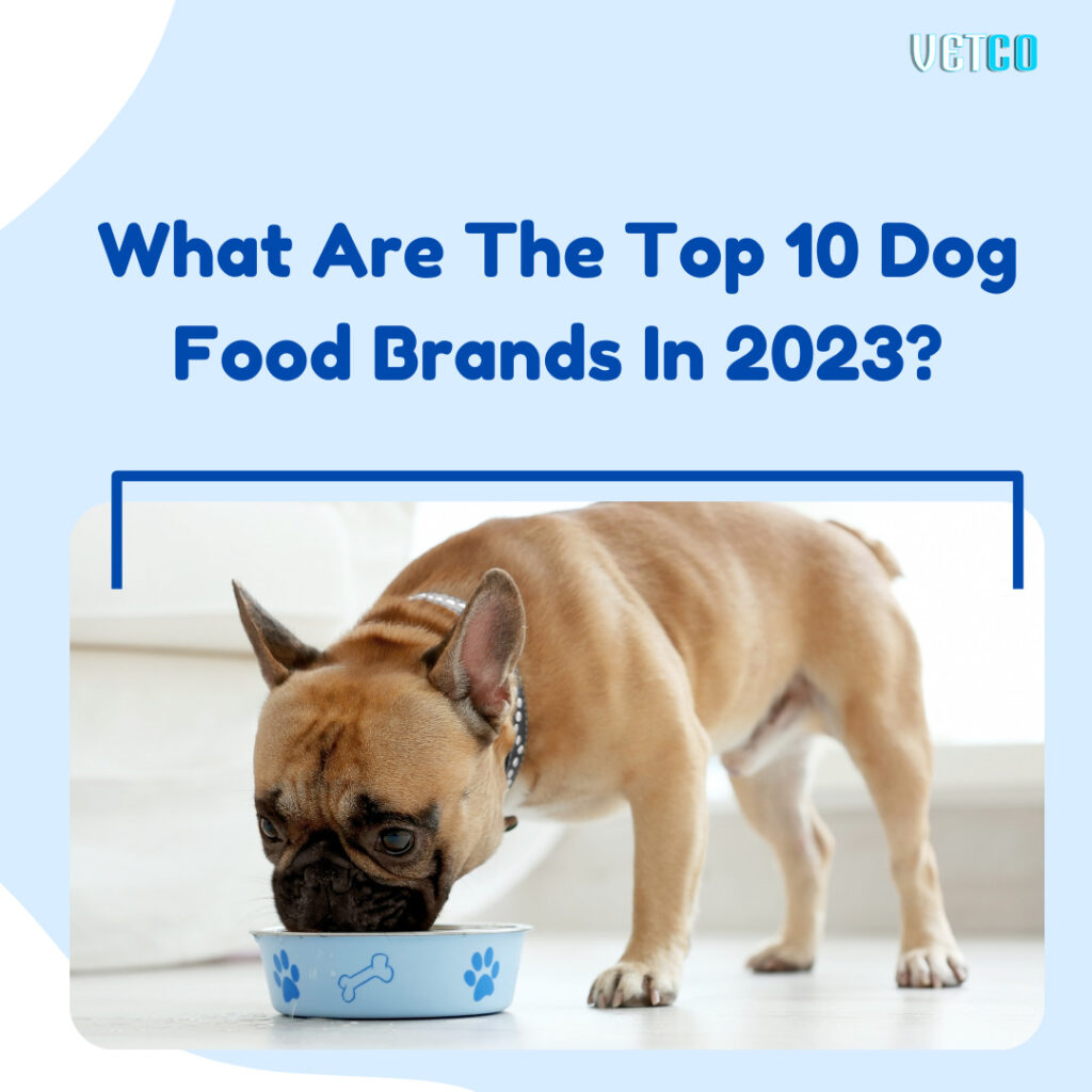 What Are The Top 10 Dog Food Brands In 2023?