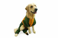 Dog-O-Bow Green Yellow Bodysuit Raincoat For Dogs