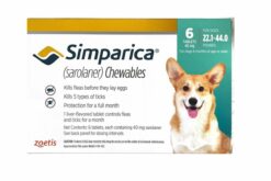 Zoetis Simparica Dog Tick and Flea Control Tablets, 40 mg