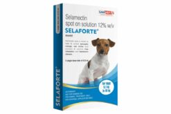 Savavet Selaforte Dog Tick and Flea Control Spot On for Dogs