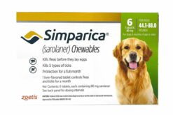 Zoetis Simparica Dog Tick and Flea Control Tablets, 80 mg