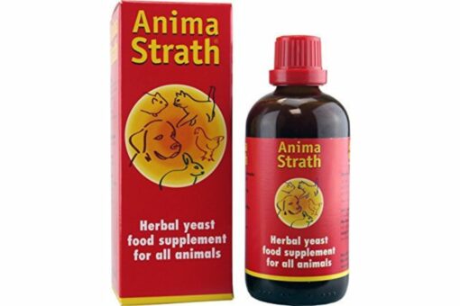 Bio-Strath Anima-Strath Liquid For Dogs & Cats