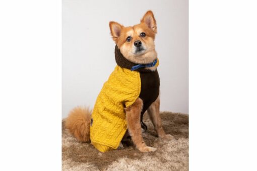 Petsnugs Cable Knit Sweater for Dogs & Cats - Brown & Mustard