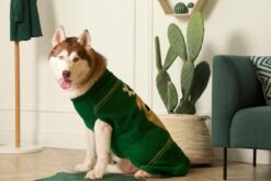 Petsnugs Green Reindeer Sweater for Dogs & Cats - Dark Green
