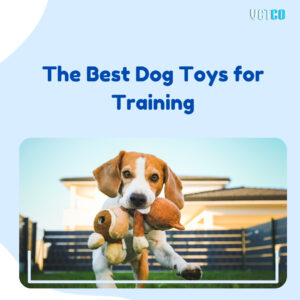 The Best Dog Toys for Training