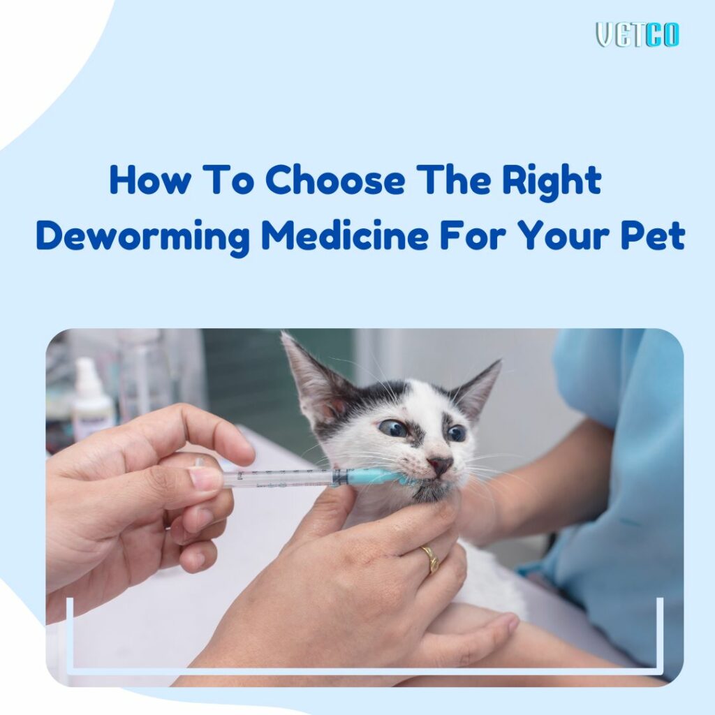 How to choose the right deworming medicine for your pet
