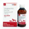 Savavet Galibor Supsension (Ursodeoxycholic Acid) for Dogs & Cats, 100ml