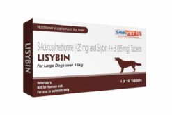 Savavet Lisybin Tablet For Large Dogs (Pack of 10 tabs)