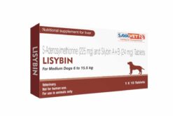 Savavet Lisybin Tablet For Medium Dogs, (Pack of 10 tabs)