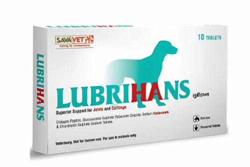 Savavet Lubrihans Tablet For Dogs (10 tablets) - Pack of 2